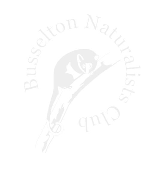 Busselton Naturalists Club