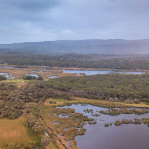 Eungedup Wetland E