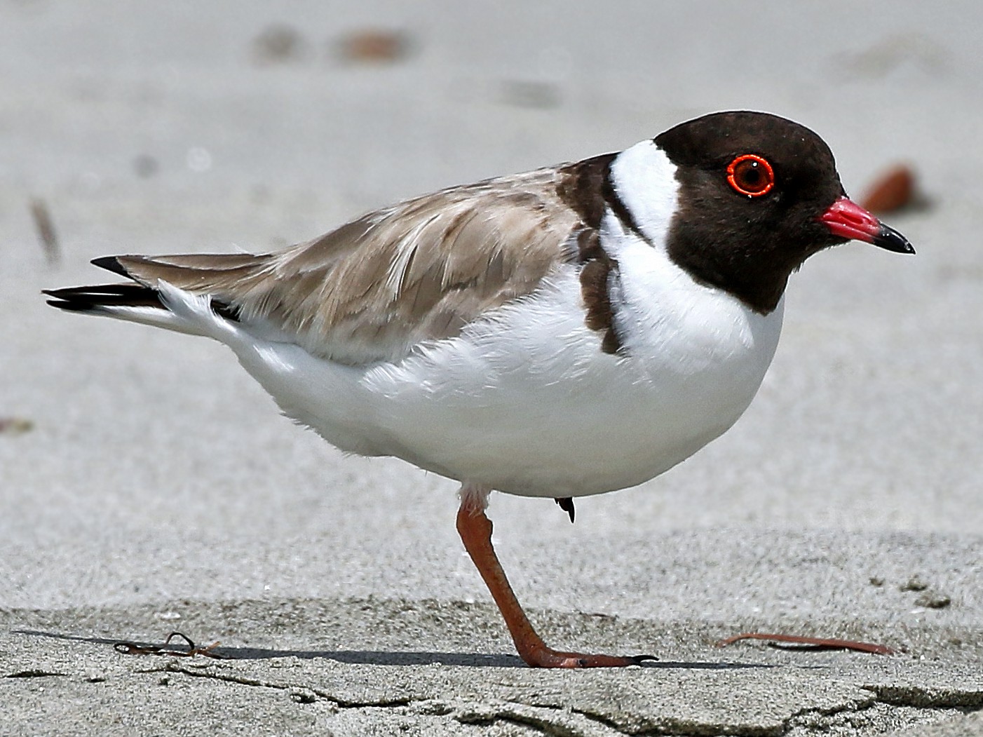 1800