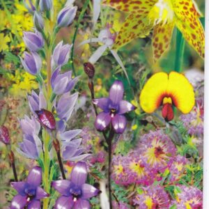 Min TFNP Flower Poster2