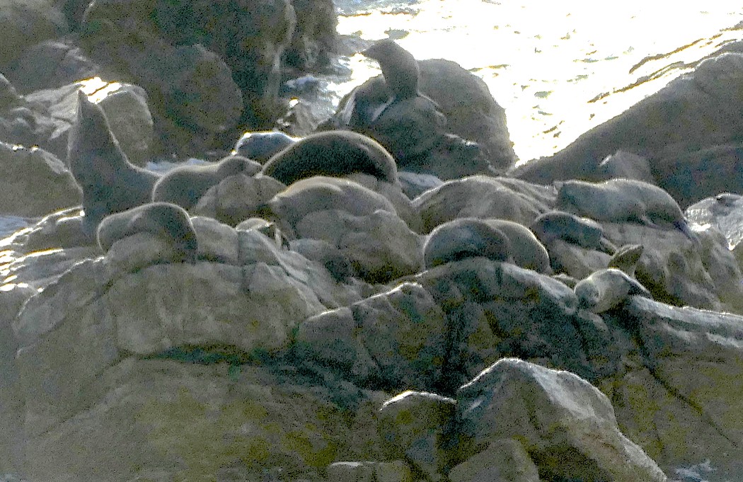 P1180316