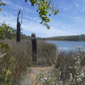 P1210439 'the Nest' Schwenke's dam copy