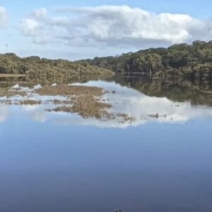 Screen Shot 2025-11-04 at 10.52.56 am