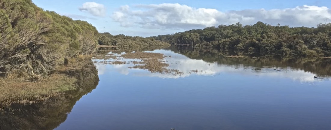 Screen Shot 2025-11-04 at 10.52.56 am