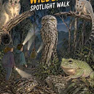Nocturnal Wildlife Spotlight Walk